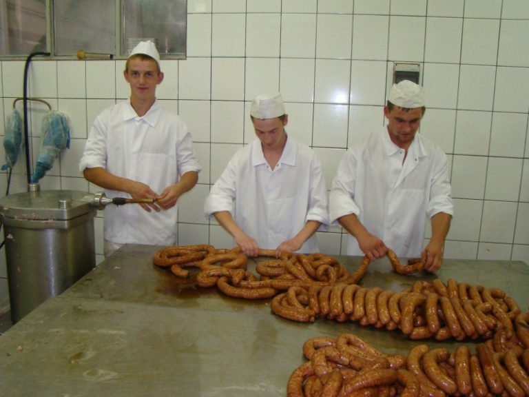 Pokazanie nauki zawodu – zdjęcie 10