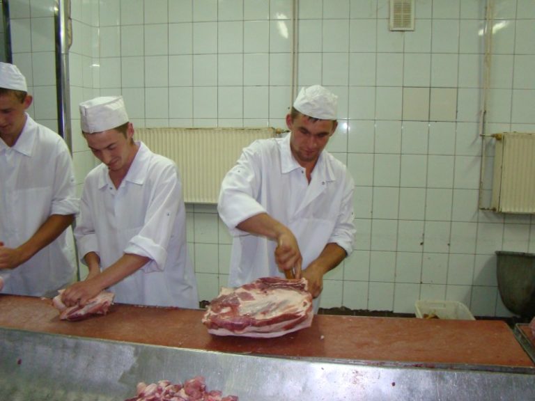 Pokazanie nauki zawodu – zdjęcie 11